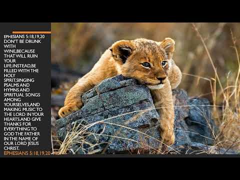 The LORD Be Praised From Zion Psalm 135:21.