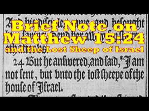Brief Note on Matthew 15:24