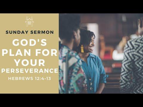 God's Plan for your Perseverance - Suffering (Heb. 12:4-13) | Sunday Sermon