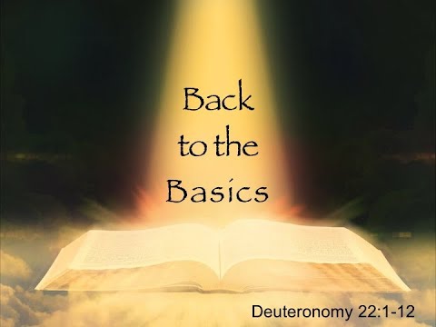 February 14, 2021;  Back to the Basics; Deuteronomy 22:1-12; David Harl