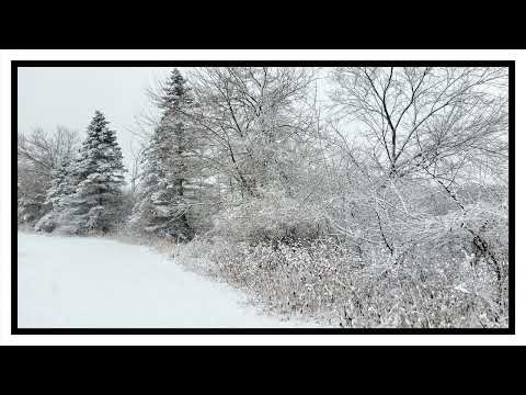 Coffee Break (5 minutes with God) James 4:1-3