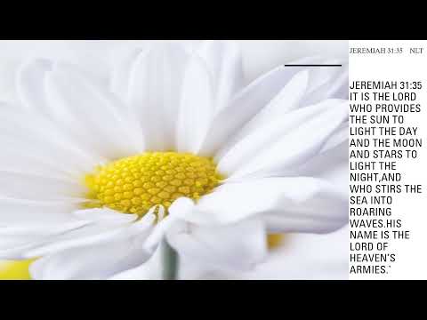 I Lift My Hands To You In Prayer Psalm 143:6.