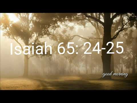 inspiring book Isaiah 65: 24-25
