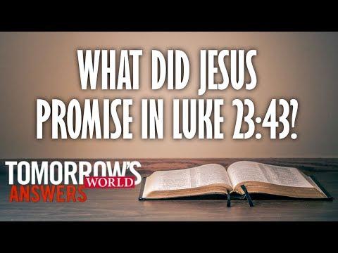What Did Jesus Promise in Luke 23:43?--TW Answers