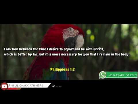 Philippians 1:22-23 | Daily Word_02/11/2021 | Whatsapp Status
