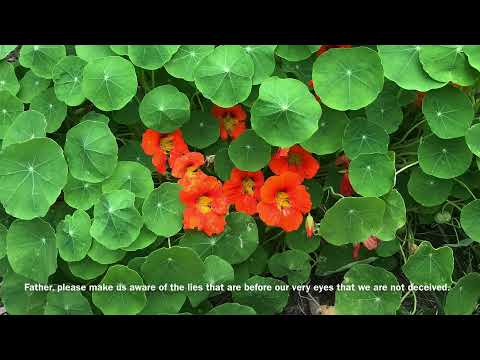 Deceitful Workers Of Righteousness... 2Corinthians 11:9-15