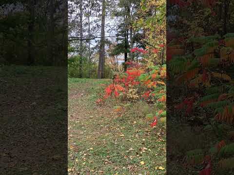 397.  Coffee Break (express) No fear None!