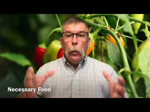 2 Peter 1:8 - ye shall neither be barren nor unfruitful