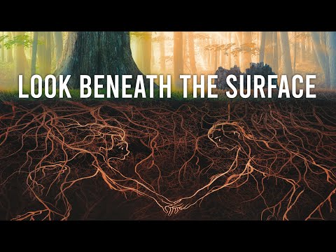 Look Beneath the Surface So You Can Judge Correctly - John 7:24