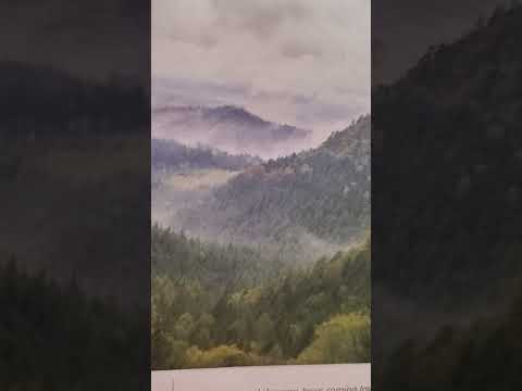 cleansing the plague of leprosy from a garment leviticus 13:47-59