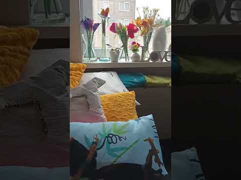 Give  Him The First Place.  ( Isaiah  48 : 17 - 18,  Isaiah  41: 10, Jeremiah  29 : 11 )