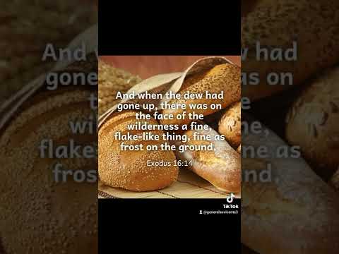 Exodus 16:4-5, 13-18