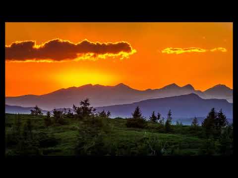 Genesis 41:33 - 43:34