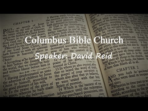 Ecclesiastes 9:10-10:17