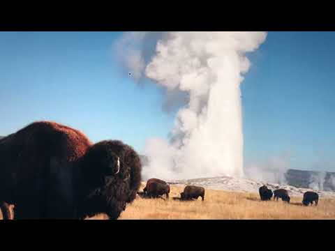 A New Season. Psalm 81:4 vocal by Kristi Stephens