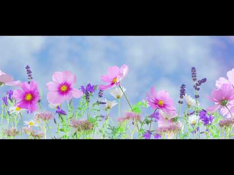 Coffee Break (5 Minutes with God) Psalm 78:32-37