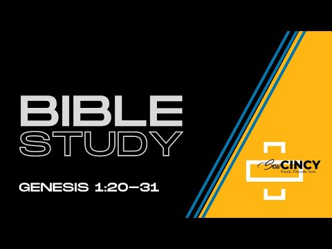 Bible Study - Genesis 1:20-31 for November 14