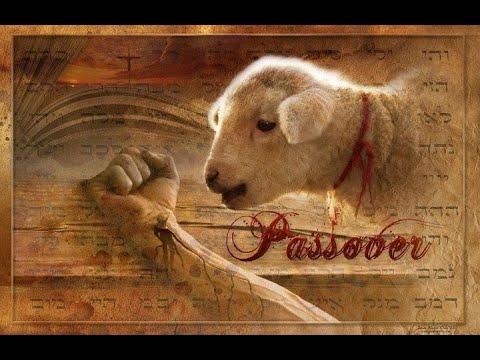 Exodus 12:5-11 The Passover Lamb Part 7