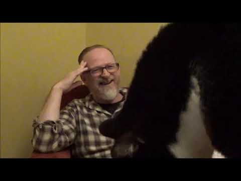 False Apostles | Revelation 2:1-2 | Paul Jennings