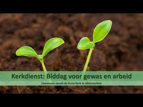 Grote Kerk Alblasserdam 10-03-2021 - 19:30 | Biddag | Ezra 8:21-36 | Thema: Een ootmoedig gebed