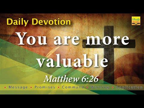 You Are More Valuable - Matthew 6:26