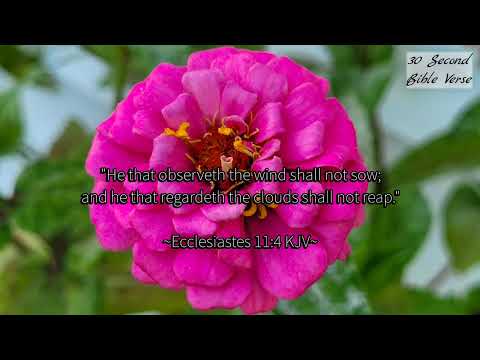 Ecclesiastes 11:4 kjv