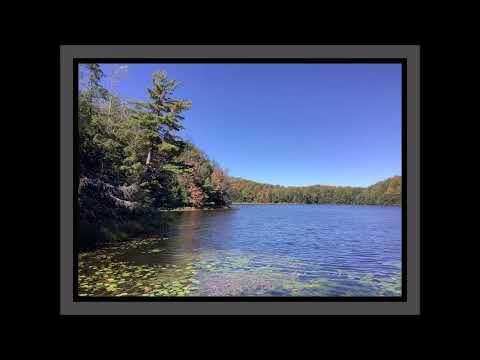 Coffee Break (5 Minutes with God) Psalm 32:8-11