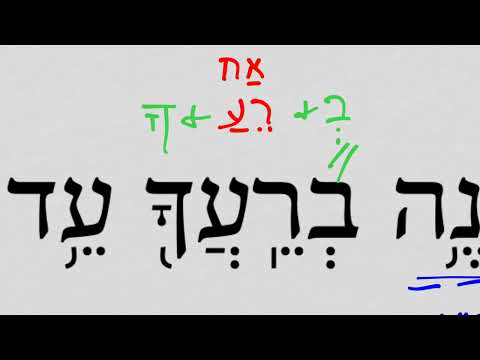 Deuteronomy 5:20 HebrewDaybyDay