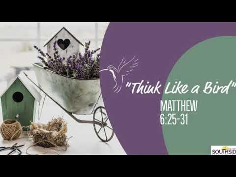 "Think Like a Bird" Matthew 6:25-31
