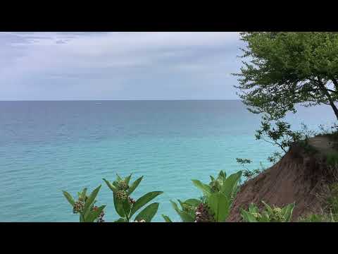 Scripture Verse By Verse (2023) Genesis 39:1-23