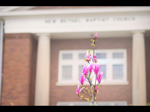 April 25th, 2021 - Fourth Sunday of Easter - Mark 10: 32-45