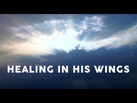 Healing in His Wings | Malachi 4:2