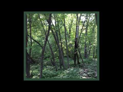 Coffee Break (5 Minutes with God) Psalm 41:1-5