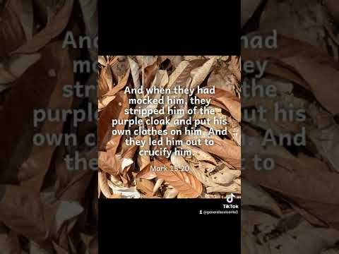 Mark 15:16-24