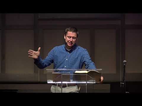 Genesis 1:3-31 | October 11, 2020