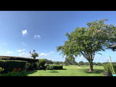 Day 205~ July 24~ 2 Chronicles 11:1-13:22, Romans 8:26-39, Psalm 18:37-50, Proverbs 19:27-29