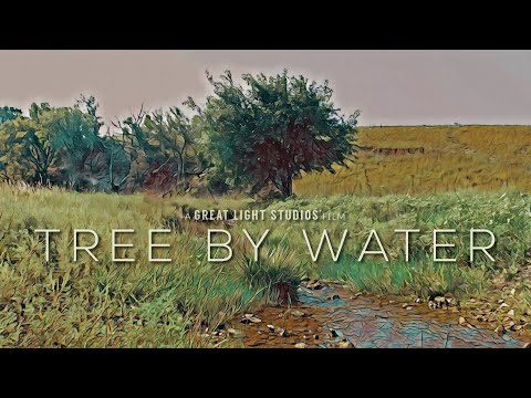 Christian Short Films - Jeremiah 17:5-13