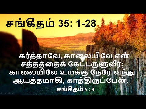 Psalm 35 : 1-28 / சங்கீதம் 35 : 1-28 கர்த்தாவே, நீர் என் வழக்காளிகளோடே வழக்காடி,