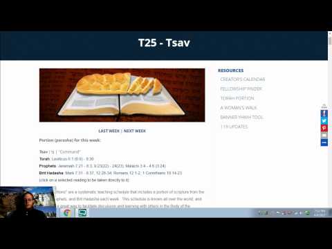 Mark 7:31 - 8:37, 12:28-34