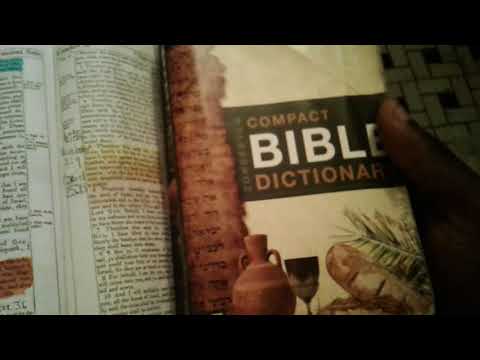 The white man is Edom job  30:5-6   links up with Obadiah 1:3