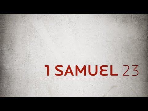 1 Samuel 23:1-14 || Spiritual Lessons in Threatening Days