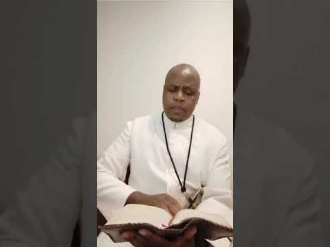 Reflection by Fr. Ndodana Tshuma, OMI: John 16: 23-28 (23-05-2020)