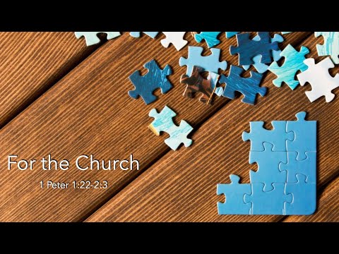 For the Church (1 Peter 1:22-2:3) | The Bridge College Ministry | Pastor PJ Berner