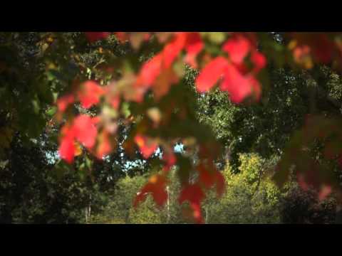 FLBC Daily Devotion Romans 9:33