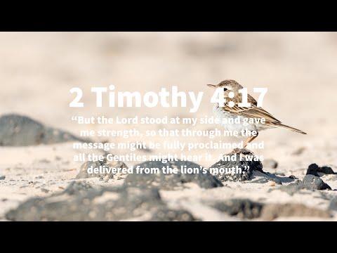 Men Bible Study - 2 Timothy 4:17