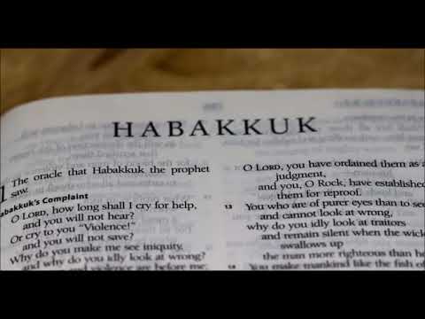 The Lord Saves Habakkuk 3: 3 - 15