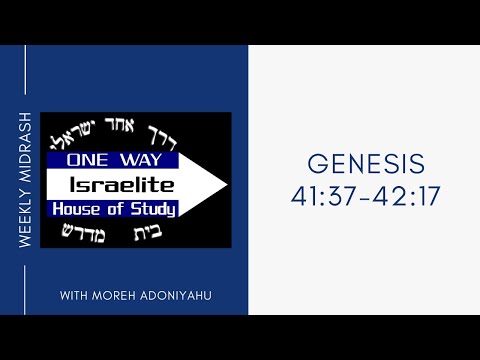 Gen 41:37 - 42:17