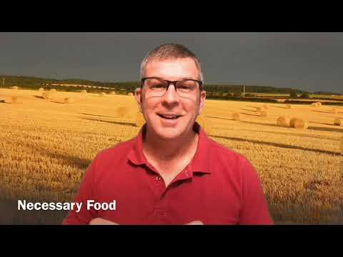 The last shall be first - Luke 13:23-30