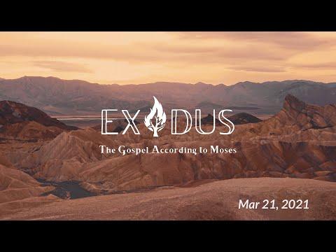Exodus - Wilderness University (Exodus 15:22-17:7)