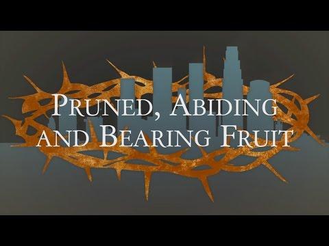 Pruned, Abiding and Bearing Fruit - John 15:1-8